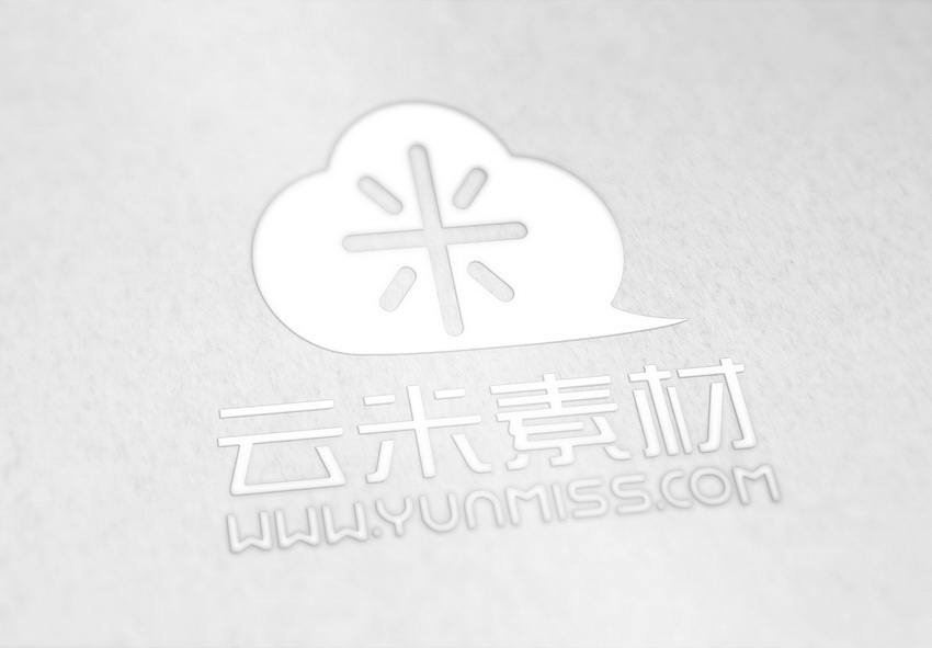 样机 百搭 logo展示