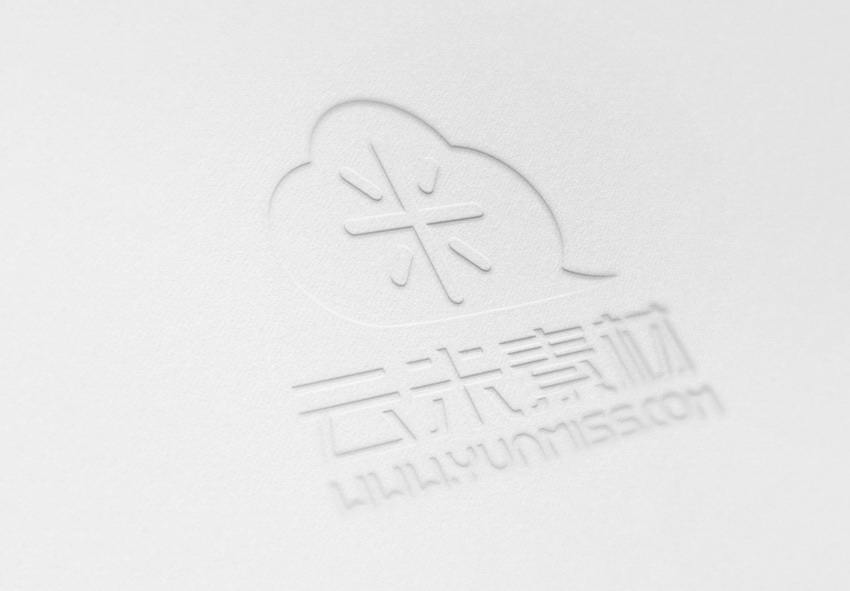 样机 百搭 logo展示