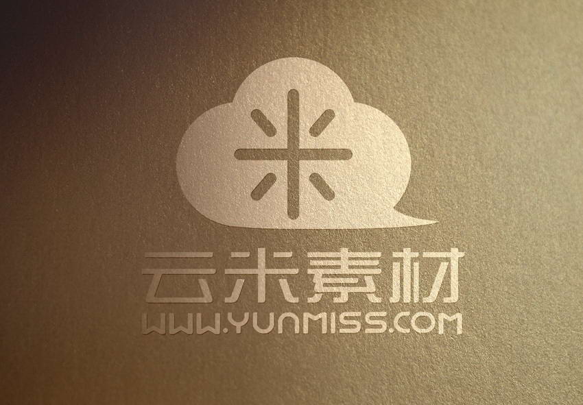 高端 纸质 logo展示