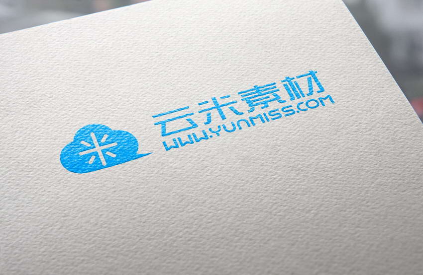 高端 纸质 logo展示