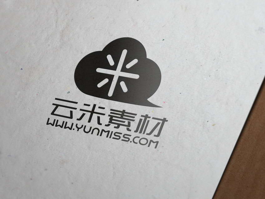 白色 纸质 logo展示