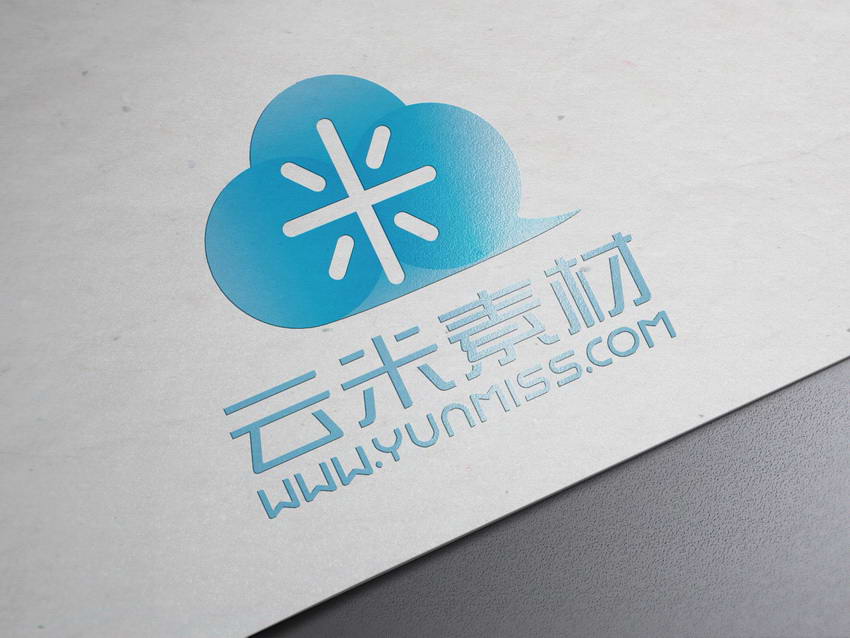 白色 纸质 logo展示