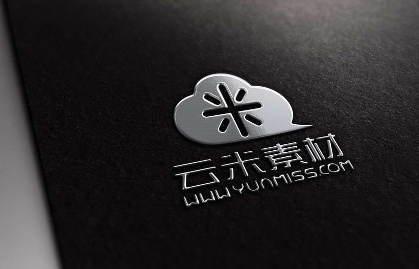 皮质 黑色 logo展示