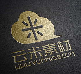 两款精致皮质面logo展示样机