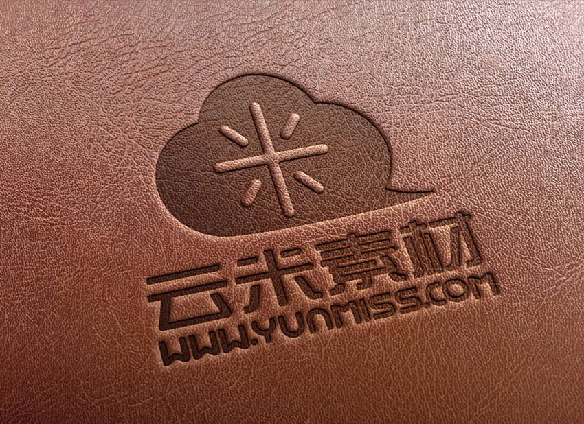 赤红 皮质 黑色 logo展示