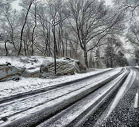 中央公园纽约城路树冬天雪岩剪...