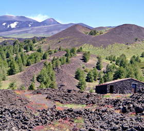 埃特纳火山西西里意大利房子山...