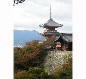 寺里程碑旅行日本京都佛教